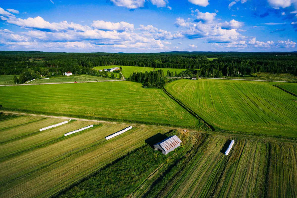 Segregar Fincas · Topógrafos para Servicios Topográficos y Geomáticos Palau-solità i Plegamans